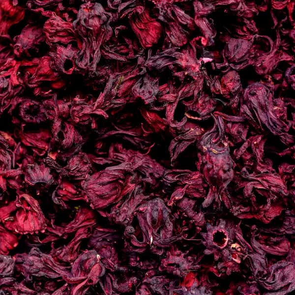 Hibiscus Flower